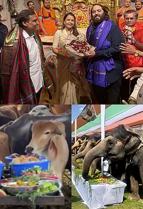 অনন্ত আম্বানির ১০০ কোটির জন্মদিনে ১ লাখ গরু ও ৭৫ হাতির ৫৬ ভোগ আর বর্ণাঢ্য বলিউড ব্যাশ