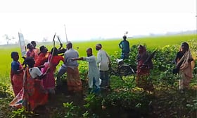 গাইবান্ধায় সাঁওতালদের সমাবেশে হামলা, আহত ৫