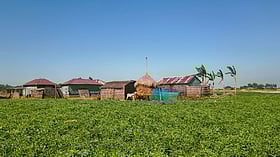 বৈশাখ মানে তাঁদের কাছে কালবৈশাখীতে টিকে থাকার লড়াই