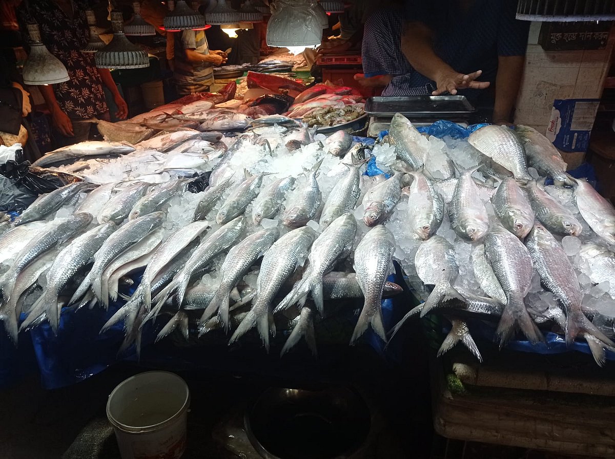 বিক্রির জন্য ইলিশ সাজিয়ে রাখা হয়েছে। আজ সকালে চট্টগ্রাম নগরের কর্ণফুলী কমপ্লেক্স বাজারে