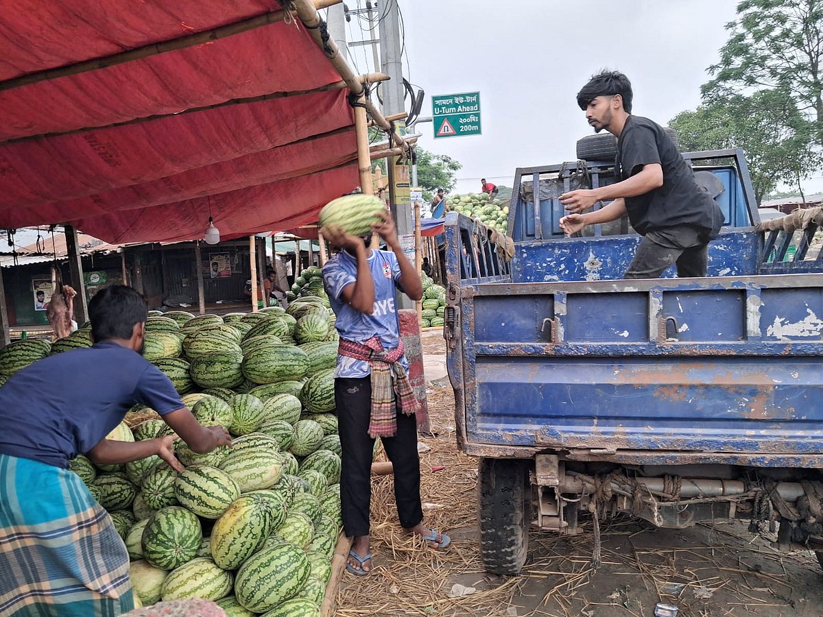 তরমুজের আড়তে ব্যস্ততা