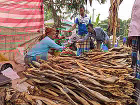 নাসিরনগরে জমে উঠেছে ‘বিনিময়প্রথার’ শুঁটকিমেলা, এখন নগদে বিক্রি বেশি