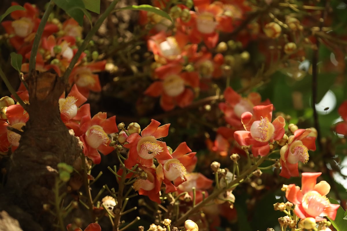 একঝলক (১৫ এপ্রিল ২০২৬)