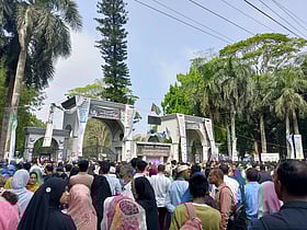 গুচ্ছের এ ইউনিটের ফল প্রকাশ, পাসের হার ৩০%, প্রথম তৌকির …