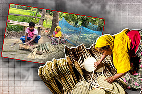 কয়েক প্রজন্ম ধরে তালপাতার হাতপাখা বানাচ্ছে তারা