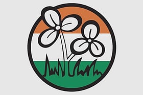 পশ্চিমবঙ্গ বিধানসভা নির্বাচন: তৃণমূলের প্রার্থীদের ৭১ শতাংশই কোটিপতি