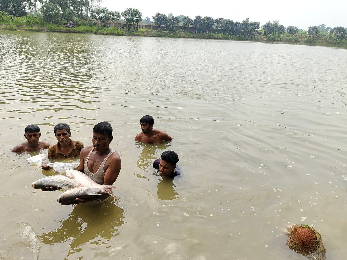 ওই পুকুরে রুই, কাতলাসহ কার্প জাতীয় মাছ মরে ভেসে ওঠে। আজ শনিবার সকালে রাজশাহীর বাগমারা উপজেলার নুরপুর গ্রামে