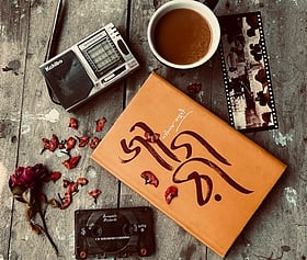 সতীনাথ ভাদুড়ীর ‘জাগরী’ কেন আপনার পড়তে হবে