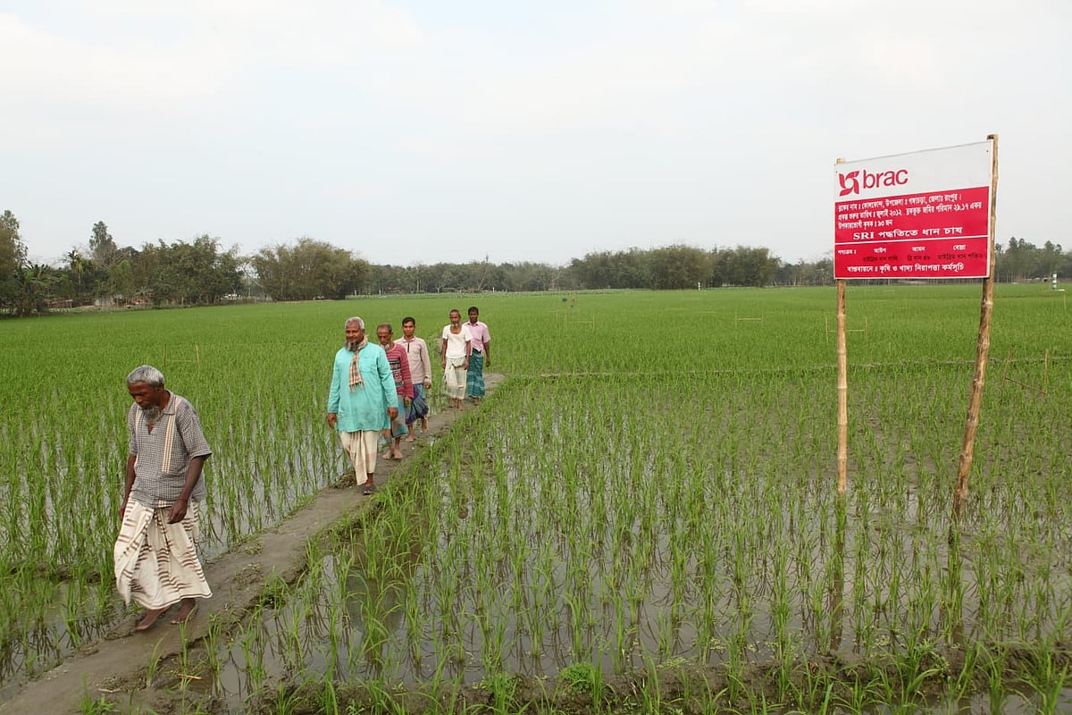 ব্র্যাকের কৃষি কর্মসূচি