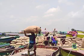 এক মণ ধানের দাম ৮০০ টাকা, দিনে শ্রমিকের মজুরি ৯০০ টাকা