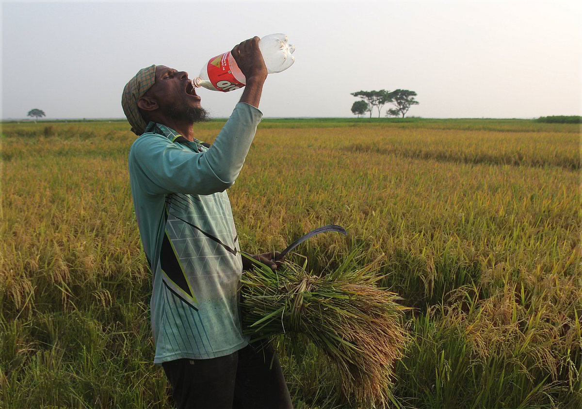 একঝলক (২২ এপ্রিল ২০২৬)