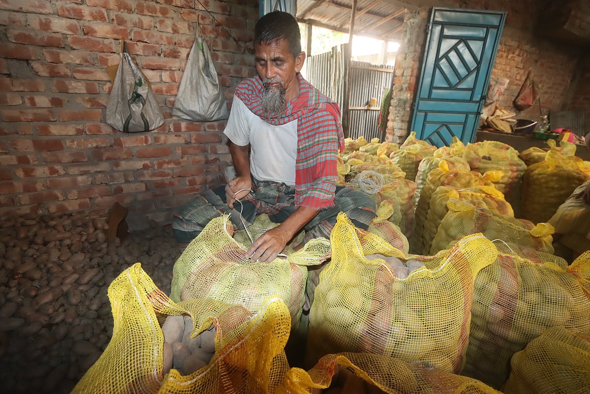 নষ্ট হয়ে যাওয়ার শঙ্কায় কম দামে আলু বিক্রি করছেন চাষি। আকাশকুড়ি,রংপুর। ২৫ এপ্রিল