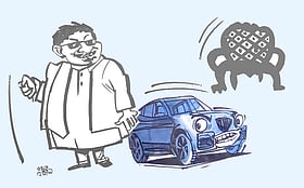 এমপিরা কেন স্থানীয় সরকারে ভাগ বসাতে চান