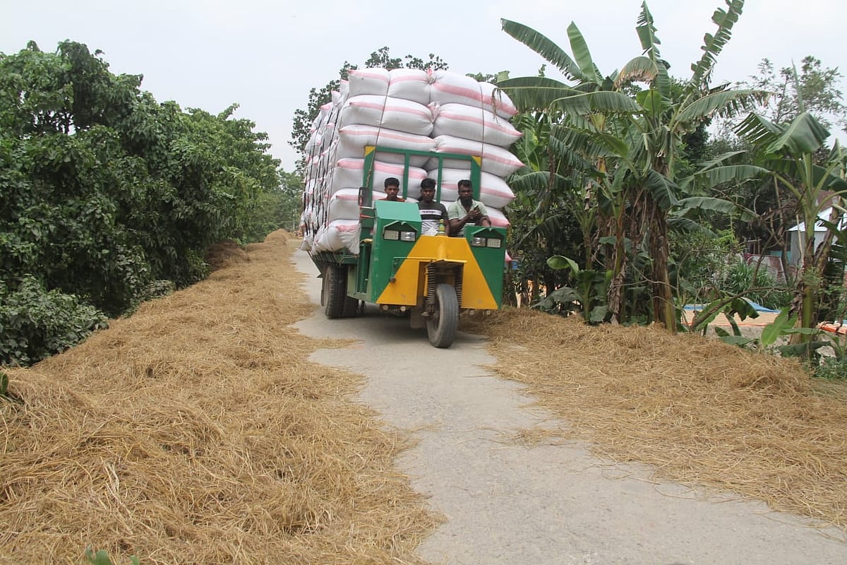 হাওরে ধান কাটায় ব্যস্ত কৃষকেরা