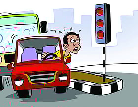 আহসান হাবীবের রম্যগল্প: রজব আলীর গাধা