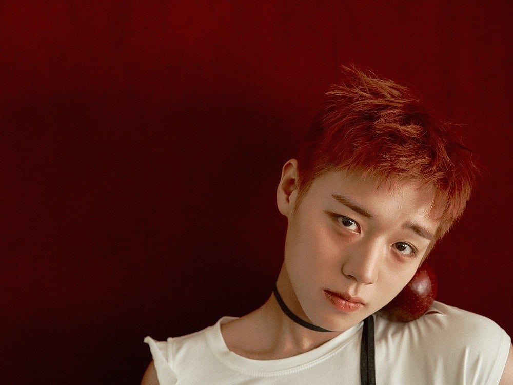 অভিনয় ও সংগীতশিল্পী পার্ক জিহুন