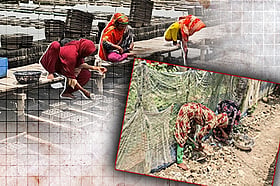 বৈষম্য মেনে নিয়েই নারীরা কাজ করেন সাতক্ষীরার কাঁকড়াখামারে