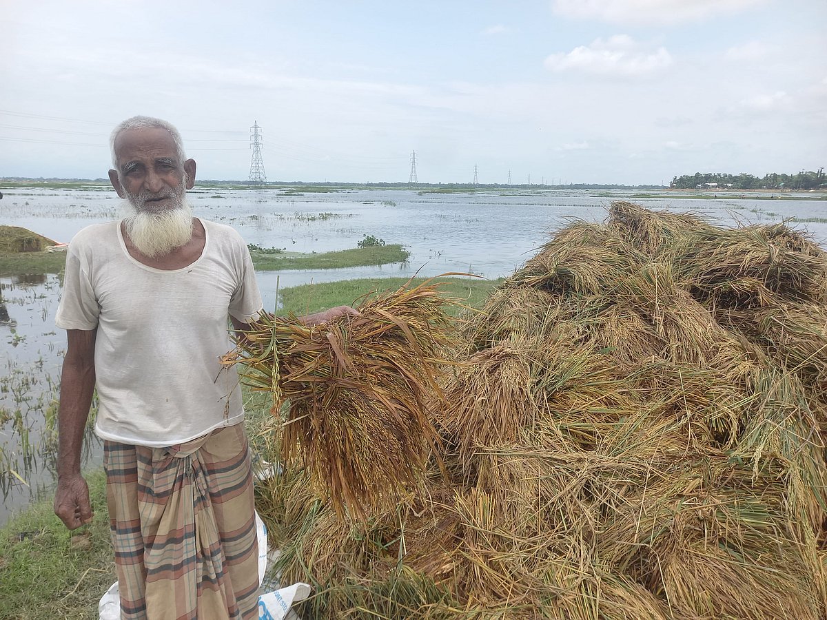 বৃষ্টি ও পাহাড়ি ঢলে বোরো ধানে ব্যাপক ক্ষতি হয়েছে কৃষক আবদুল মালিকের। সুনামগঞ্জের দেখার হাওরে গতকাল বৃহস্পতিবার বিকেলে সে কথাই বলছিলেন তিনি