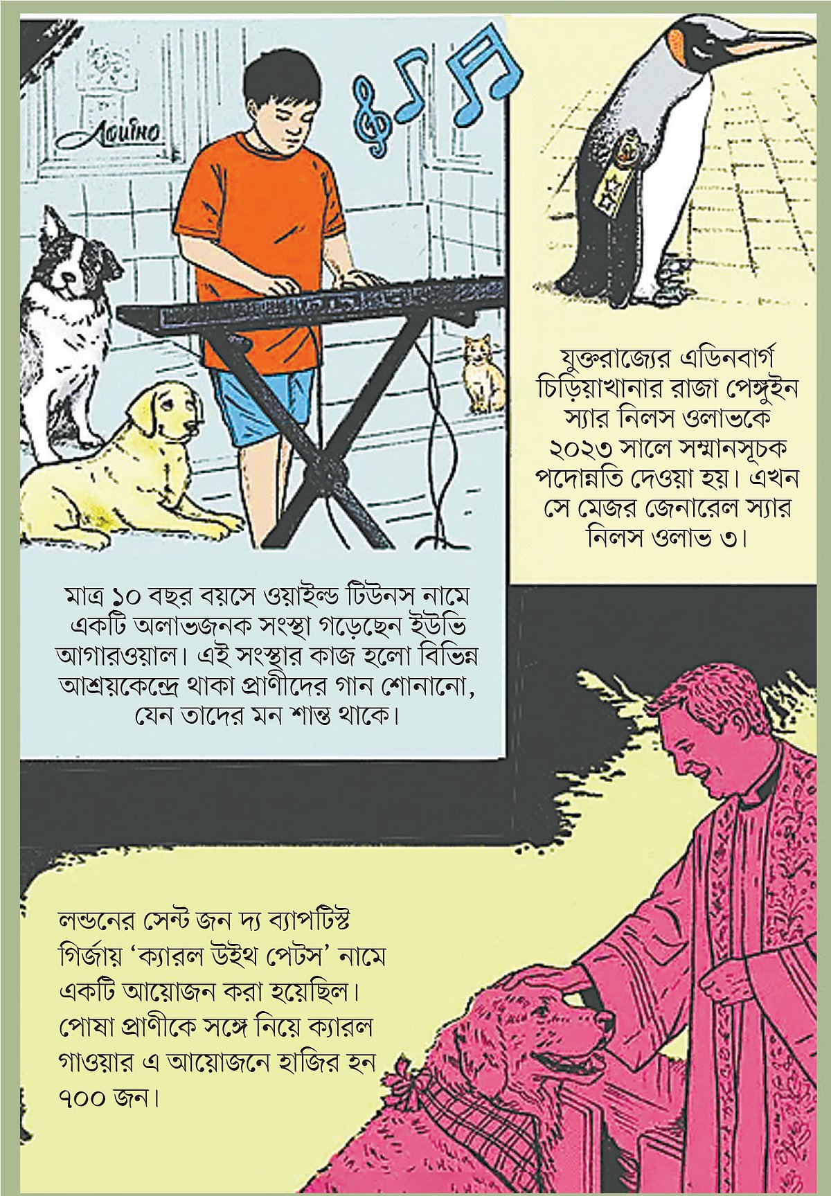 পেঙ্গুইন যখন ‘স্যার’