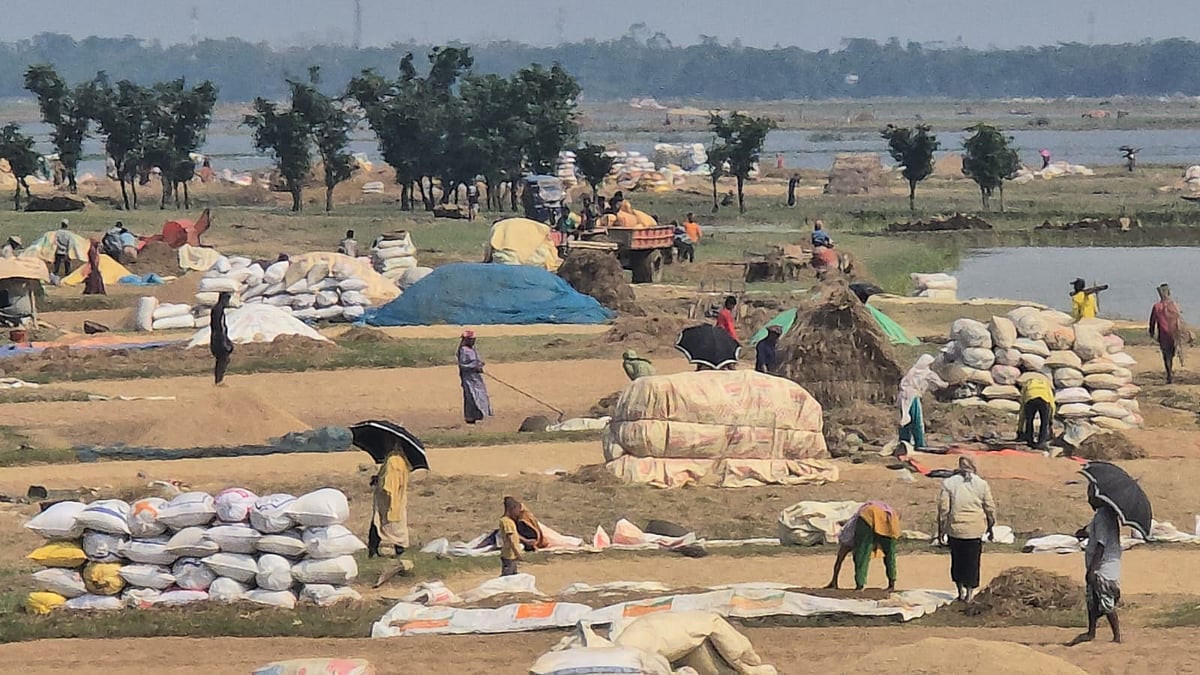 হাওরে ধানের খলায় কৃষকদের ব্যস্ততা বেড়েছে। রোববার দুপুরে সুনামগঞ্জের দেখার হাওরের গোবিন্দপুর এলাকায় 