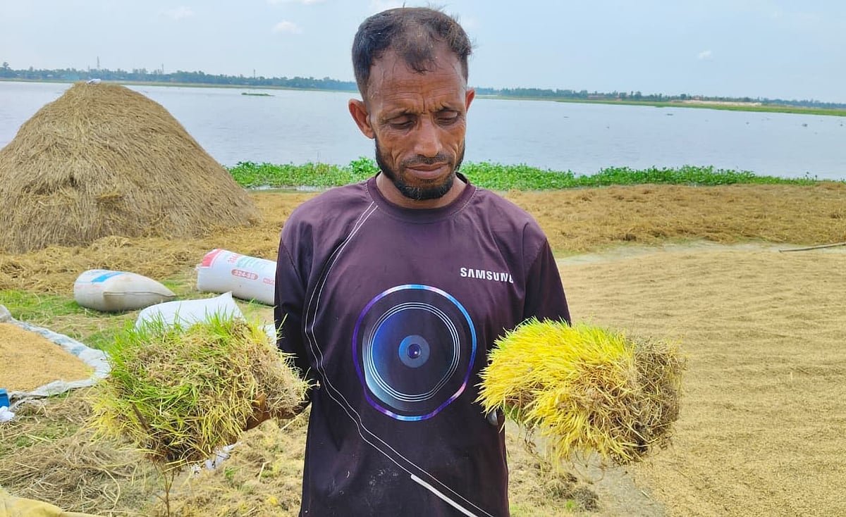 ‘গিরস্তি আর করতাম না, সব ধান গেজায়া গেছে’ - Image 1
