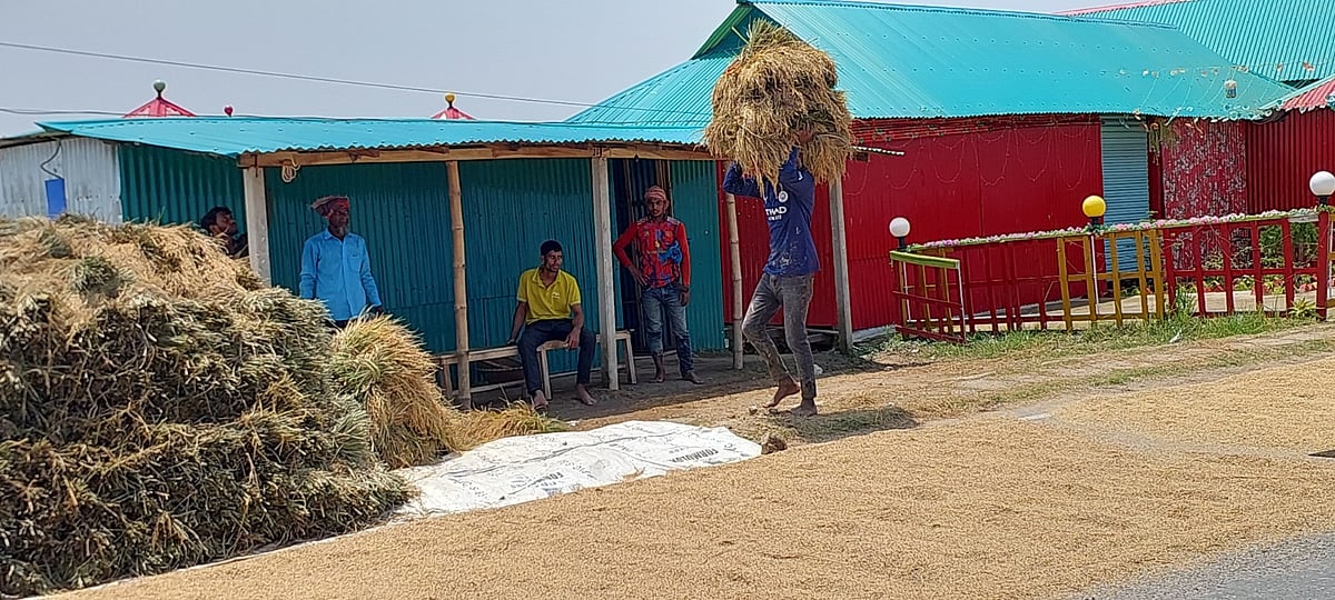রোদে নেত্রকোনার কৃষকেরা ধান ও খড় শুকাচ্ছেন। আজ মঙ্গলবার দুপুরে নেত্রকোনার কলমাকান্দা-ঠাকুরাকোনা সড়কের বাহাদুরকান্দা এলাকায়
