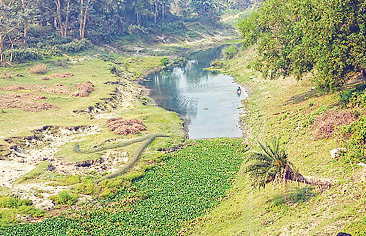 এটাই বংশী নদীর বর্তমান অবস্থা। এটা এখন স্রোতহীন একটি খালের মতন। গত ফেব্রুয়ারি মাসে তোলা