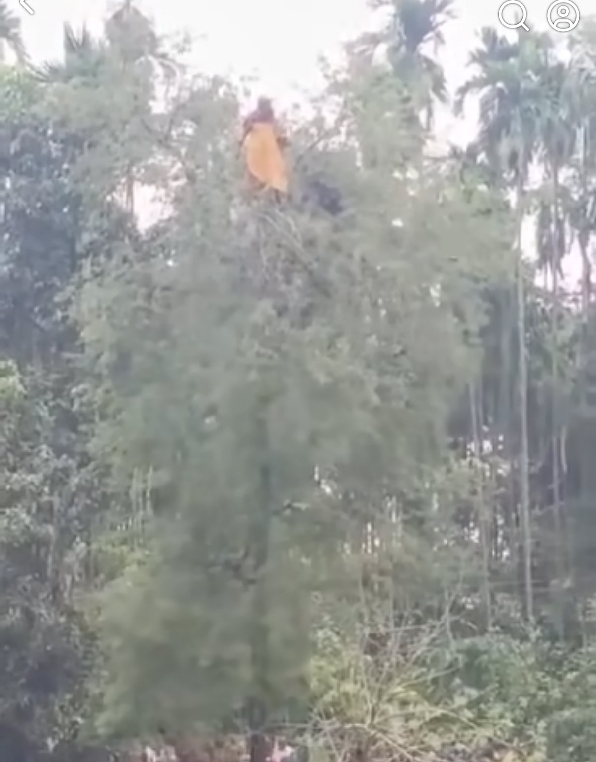 কুড়িগ্রামে নিখোঁজের পরদিন তেঁতুলগাছ থেকে এক গৃহবধূকে উদ্ধার করা হয়েছে। বুধবার সকালে উলিপুর উপজেলার আনন্দবাজার এলাকায়