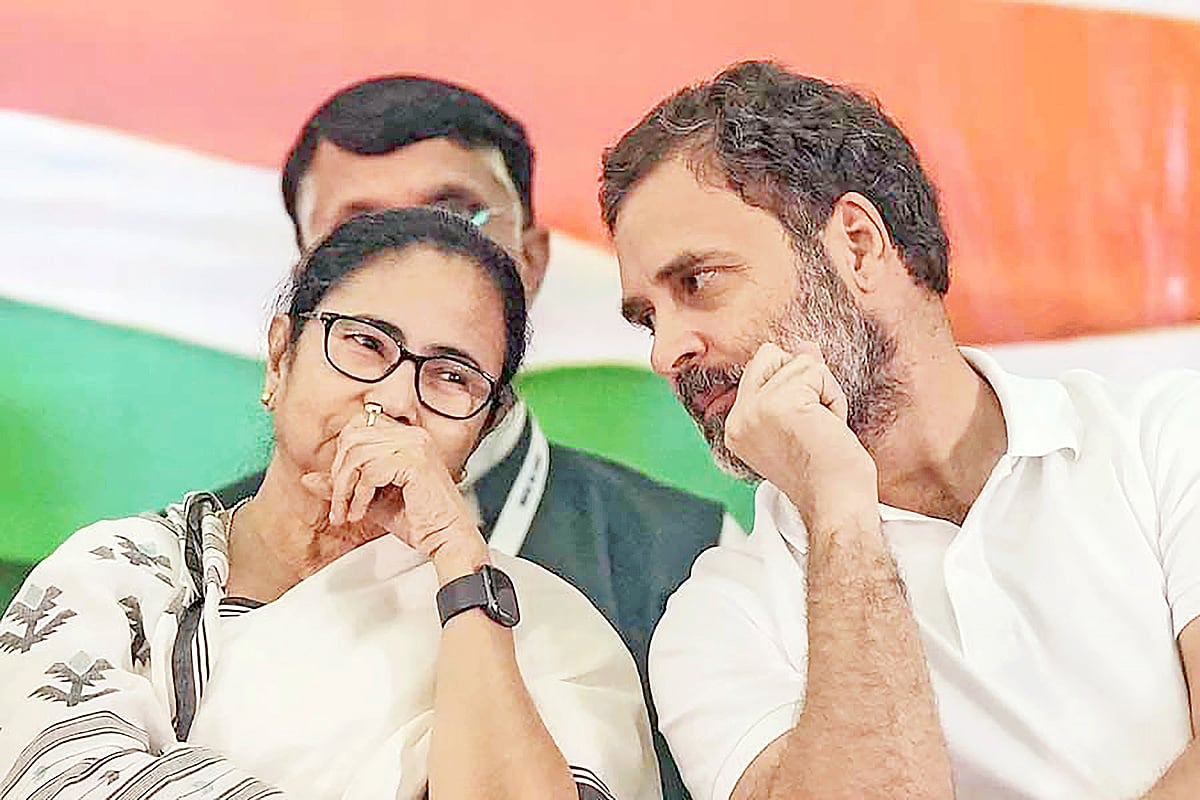 রাহুল গান্ধীর সাহচর্যে জোট-রাজনীতিই হতে চলেছে ‘মুক্ত বিহঙ্গ’ মমতার একমাত্র সাহারা