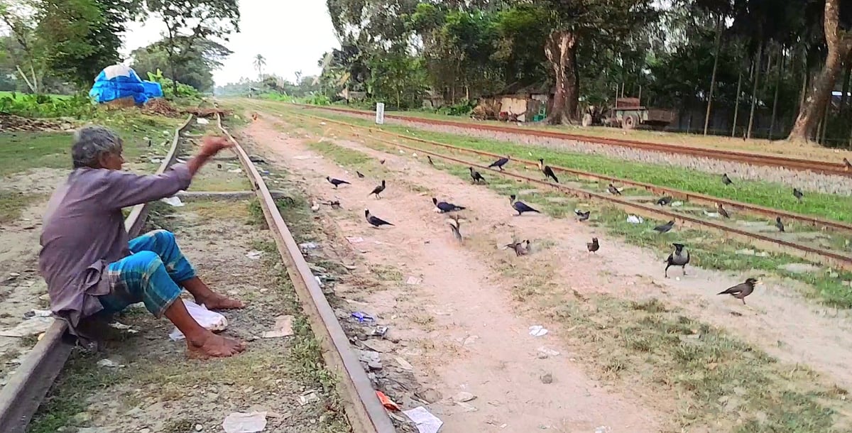 কাকসহ নানা পাখিকে খাবার দিচ্ছেন বীর মুক্তিযোদ্ধা অনন্ত কুমার বর্মণ। সম্প্রতি রংপুরের পীরগাছা উপজেলার অন্নদানগর রেলস্টেশন এলাকায়