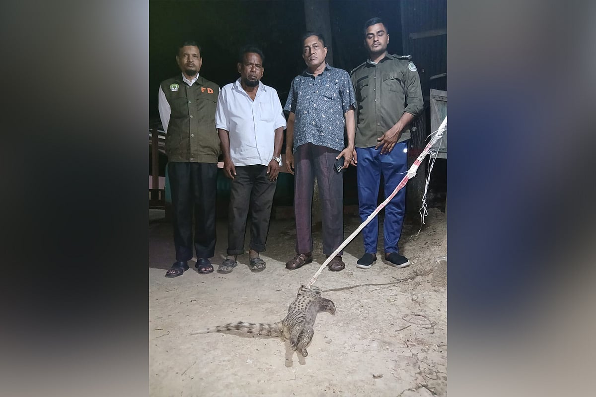 বাগডাশটির মরদেহের সামনে বন বিভাগের কর্মীরা। গতকাল রাতে চট্টগ্রামের সাতকানিয়ায়
