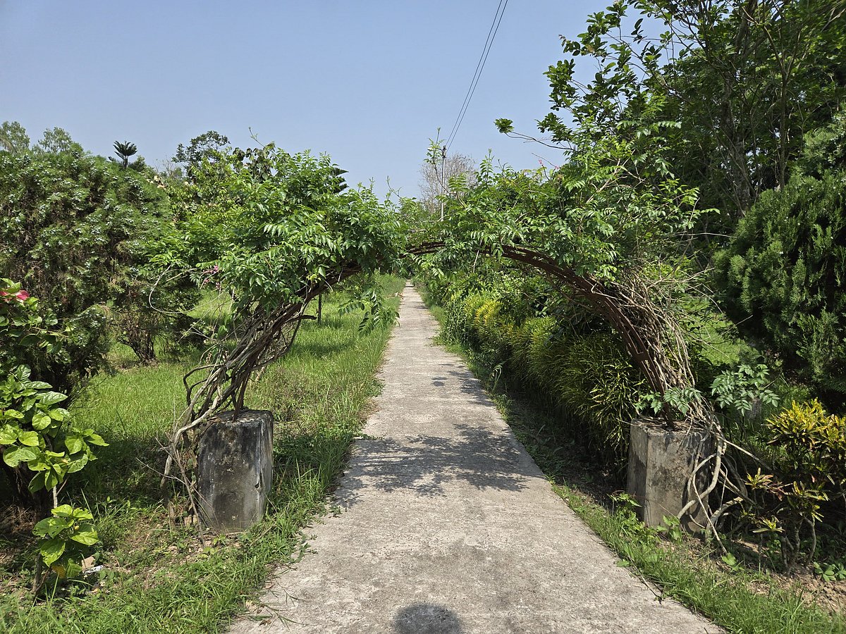 রাজশাহী বিশ্ববিদ্যালয়ের বোটানিক্যাল গার্ডেন