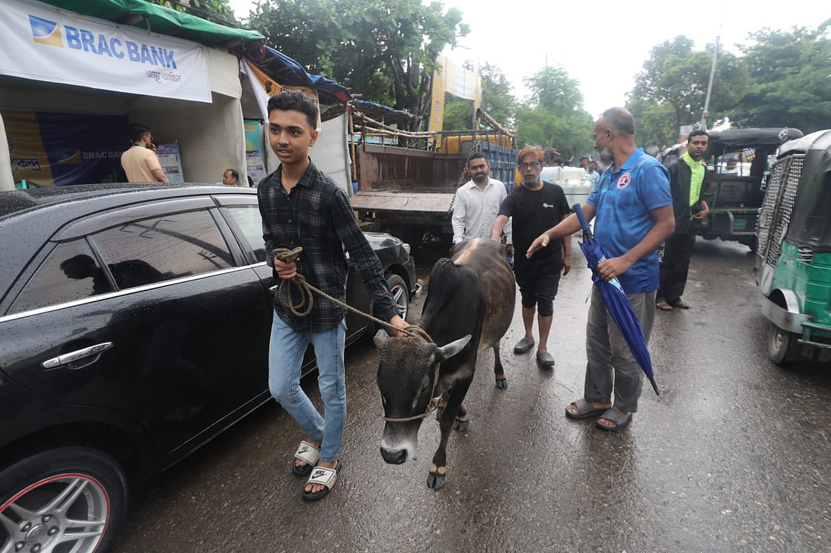 দুই ঘণ্টা দরদামের পর বিক্রি হয় গরুটি। সেটি নিয়ে বাড়ি ফিরছেন ক্রেতারা। আজ সকালে চট্টগ্রাম নগরের সাগরিকা পশুর হাটে