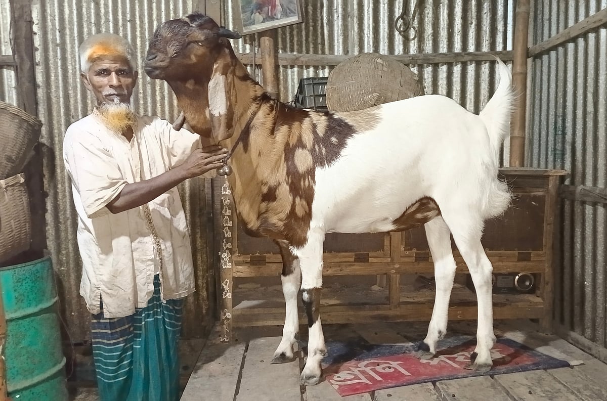 বিছানার ওপর ছাগলটিকে আদর করছেন মালিক হাদিস মিয়া। সম্প্রতি কিশোরগঞ্জের করিমগঞ্জ উপজেলার নিয়ামতপুর হাজিপাড়া মোড় এলাকায়