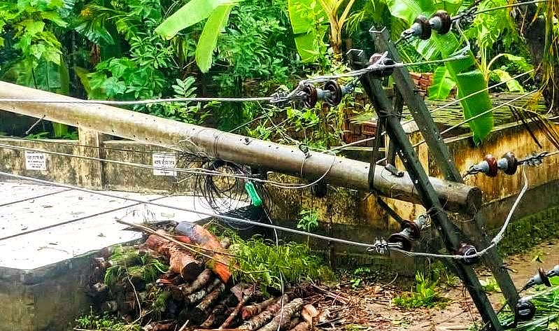 আজ বুধবার সকালের ঝড়ে বরিশালের মেহেন্দীগঞ্জ উপজেলার বিভিন্ন এলাকায় এভাবে বিদ্যুতের খুঁটি ও সরবরাহ লাইনের ওপর গাছ উপড়ে পড়ে