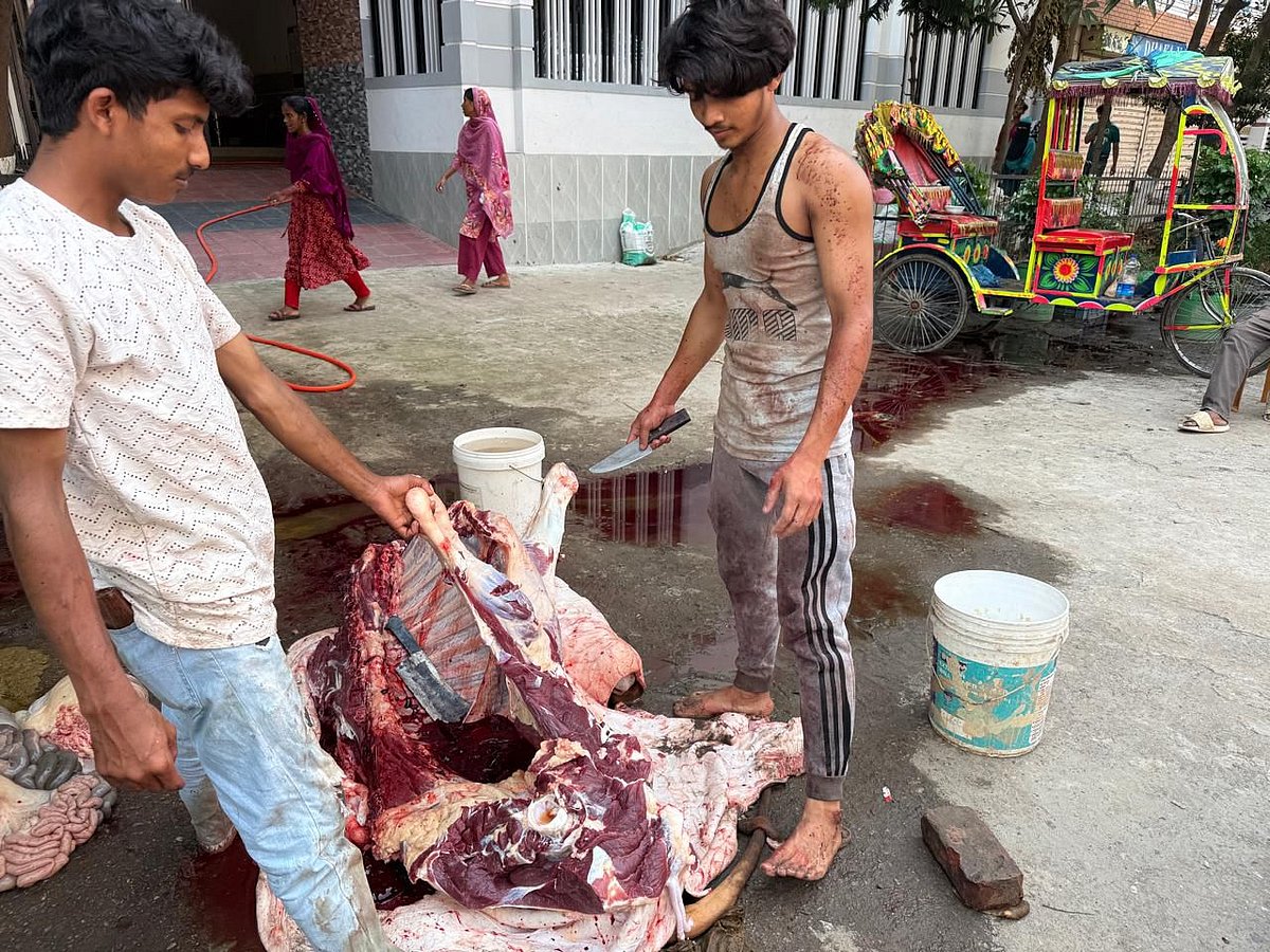 সহযোগীকে নিয়ে গরুর মাংস কাটায় ব্যস্ত শামীম মিয়া। মিরপুর-১২, ঢাকা, ২৮ মে