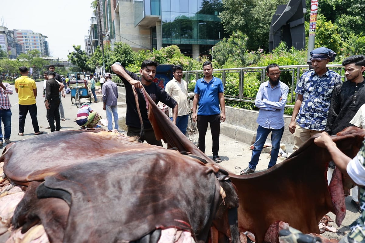 রাজধানীর বিভিন্ন জায়গায় চলছে কোরবানির পশুর চামড়া বেচাকেনা। আজ বৃহস্পতিবার দুপুরেো