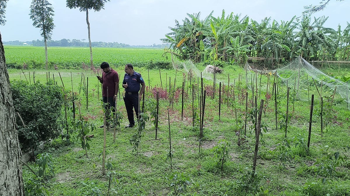 ককটেল বিস্ফোরণে শিশুর হাত ওড়ে যাওয়ার খবর পেয়ে পুলিশ ঘটনাস্থলে গিয়ে নমুনা সংগ্রহ করে। আজ দুপুর ১২টার দিকে শরীয়তপুরের জাজিরা উপজেলার চরধুপুর চরকান্দি এলাকায়