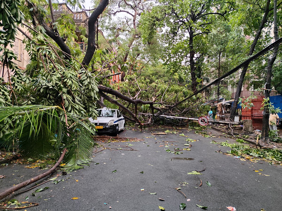 ঘূর্ণিঝড়ের কারণে গাছ ভেঙে পড়ায় অনেক এলাকায় যান চলাচল বন্ধ হয়ে যায়। কলকাতা, পশ্চিমবঙ্গ, ভারত। ২৯ মে