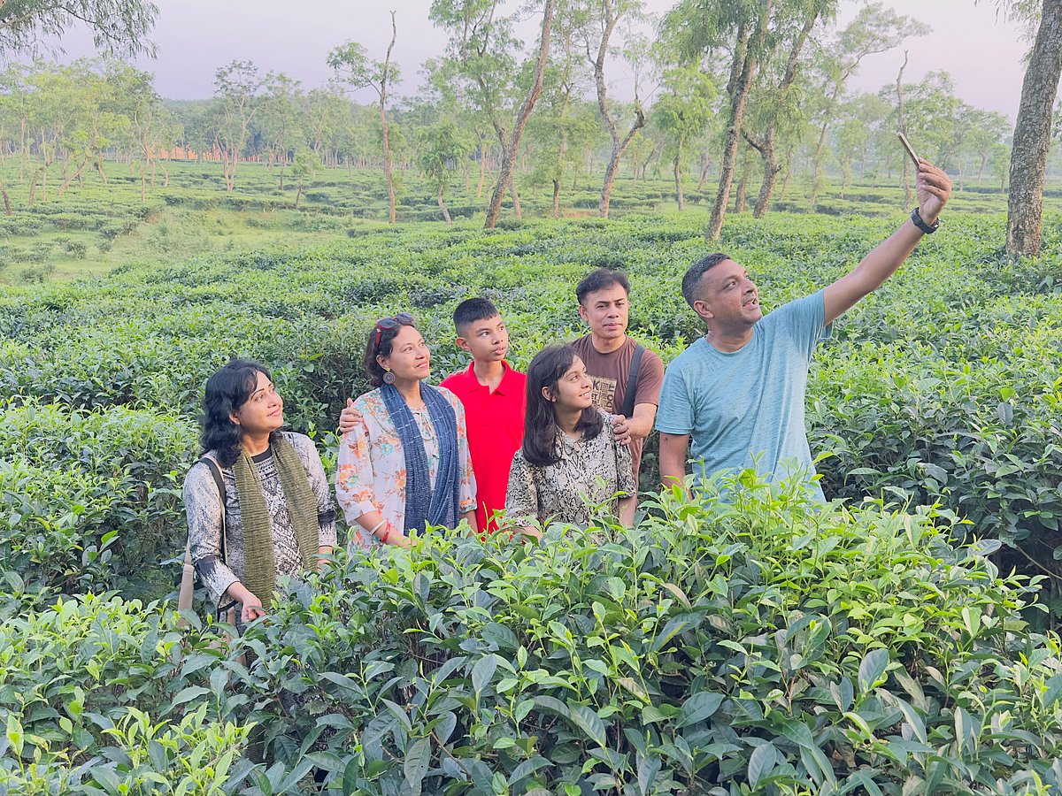 ঈদের ছুটিতে চা-বাগানে ঘুরে বেড়াচ্ছেন পর্যটকেরা। ঈদের দিন মৌলভীবাজারের শ্রীমঙ্গলের বিটিআরআই এলাকায়