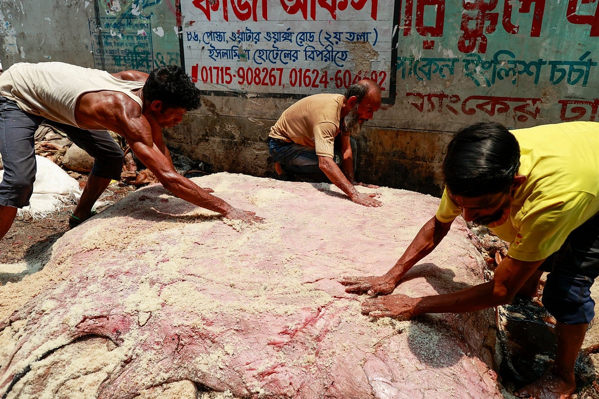 রাজধানীর চামড়ার আড়তগুলোতে এখন কোরবানির পশুর চামড়া কেনাবেচা ও সংরক্ষণের কাজে ব্যস্ত সময় পার করছেন ব্যবসায়ী ও শ্রমিকেরা। গত শুক্রবার পুরান ঢাকার পোস্তার একটি কারখানায়
