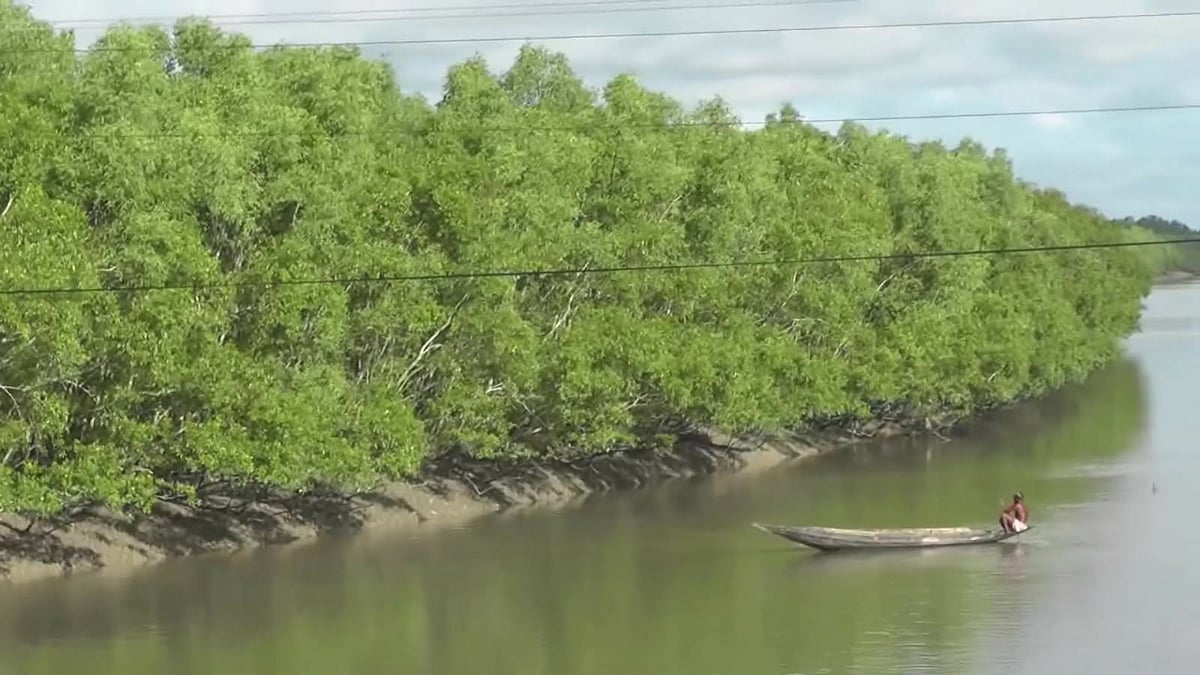 সুন্দরবন