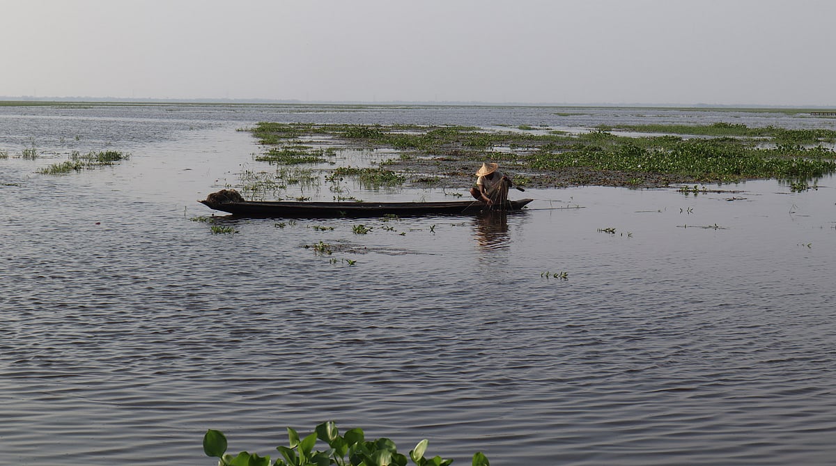 ‘এবার ধান নাই, খালি মাছের ওপর নির্ভর করতে অইবো’