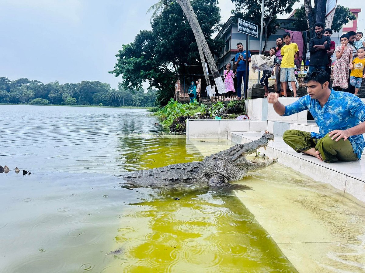 বাগেরহাটের খানজাহান আলী (রহ.)-এর মাজারসংলগ্ন দিঘিতে এখন টিকে আছে মাত্র একটি কুমির