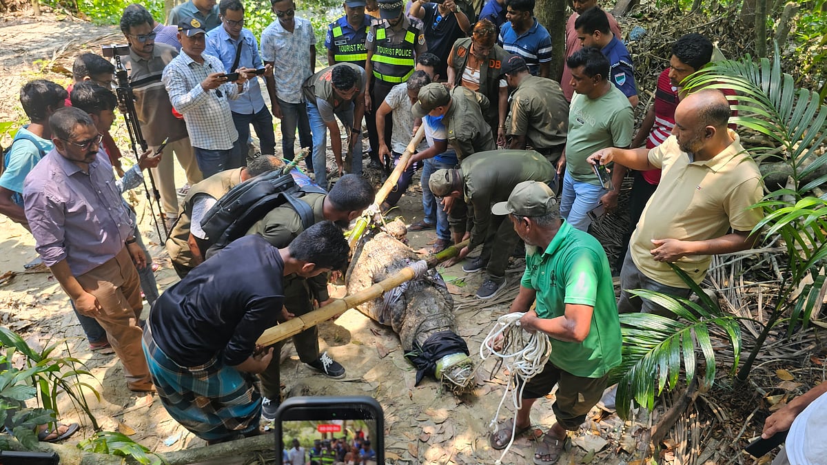 খানজাহান আলী মাজারের দিঘি থেকে সরিয়ে নেওয়া হলো কুমিরটি