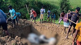 মাঠে চরানোর সময় বজ্রপাত, ১৪ গবাদিপশুর মৃত্যু