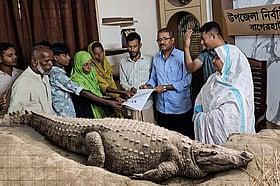 কুমিরের আক্রমণে শিশুর মৃত্যুর পর মানসিক ভারসাম্যহীন মাকে খুঁজে পেল …