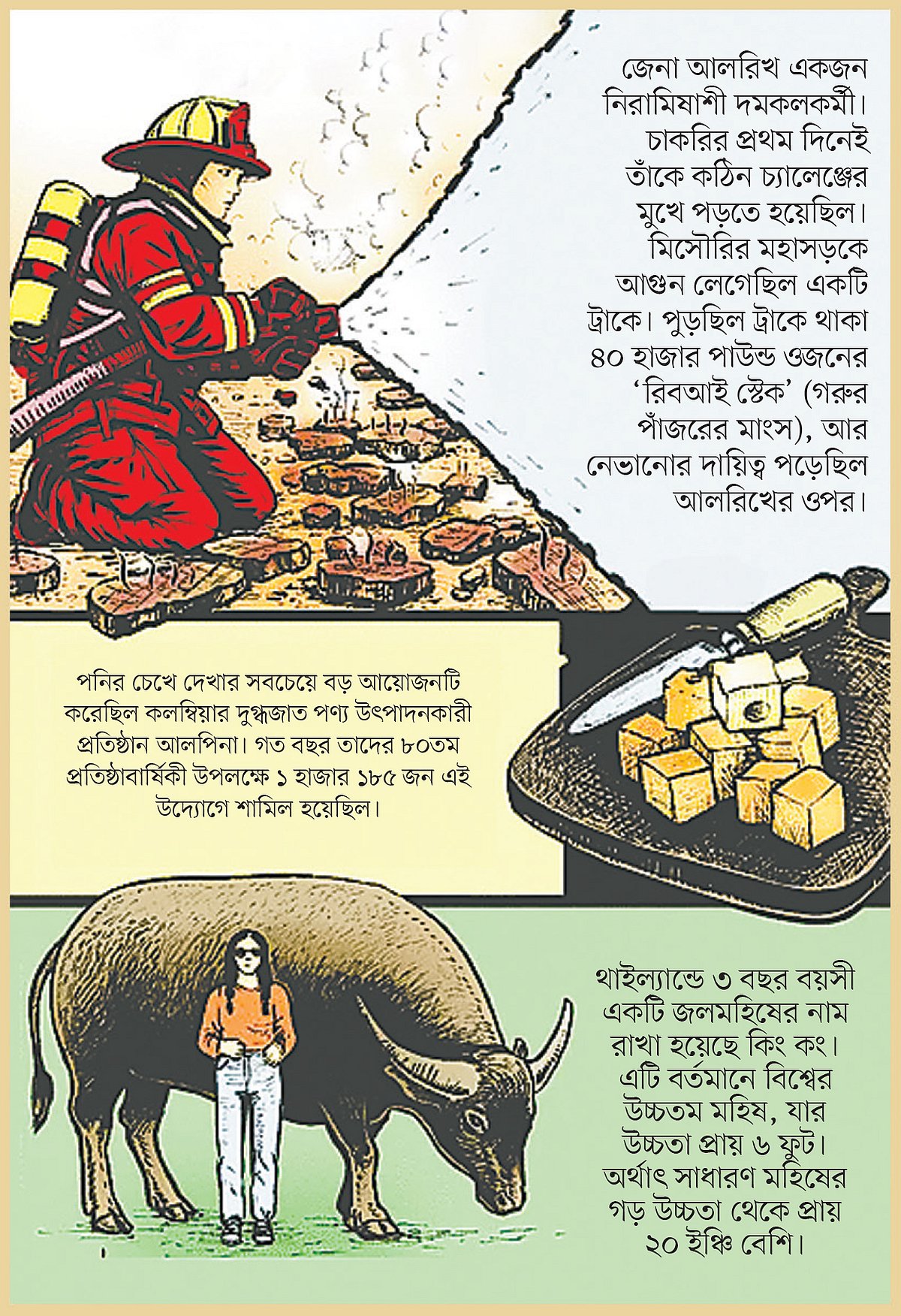 মহিষের নাম কিং কং
