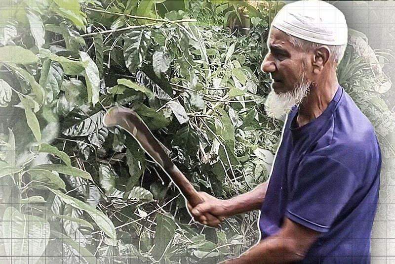 এক যুগ ধরে স্বেচ্ছায় গ্রাম পরিষ্কার করেন ৭২ বয়সী নাসির