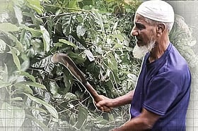 এক যুগ ধরে স্বেচ্ছায় গ্রাম পরিষ্কার করেন ৭২ বয়সী নাসির